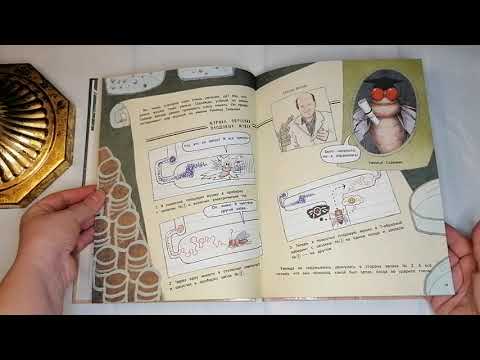 Чжэ Квон. Секрет плодовых мушек