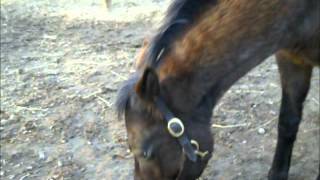 The One And Only Everything