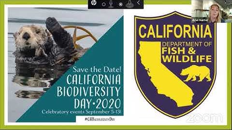 Science-ing at Home: An iNaturalist Tutorial