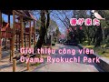 Giới thiệu công viên Oyama Ryokuchi Park( chuẩn bị cho lễ hội ngắm hoa Đào 2024)