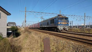 【JR貨物】4060レ EF510-503 ジョイント音奏で大型コンテナと共に富山貨物駅発車!