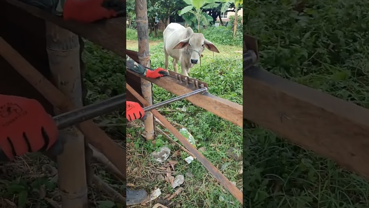 2nd day ng pagawa | patapos na mga hukayin | kompleto na Ang tropa!