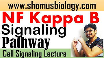 NF kappa B signaling pathway | Short tricks to learn cell signaling pathway