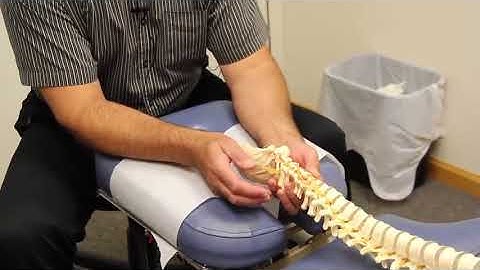 Subluxations   Ames Chiropractic Wellness Center   Bangor, Corinna, Lincoln Maine