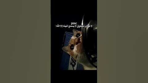 :🌙📖 قرآن كريم بصوت خاشع 🎧✨ يريح القلب ويشرح الصدر 💕 #اكسبلور #اكسبلور #القزابري #المصحف