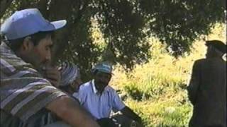 Taslidere Yaylasi - 1 Resimi