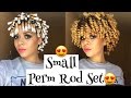 How To Get The Perfect Perm Rod Set With Small Perm Rods (DETAILED) | Natural Hair