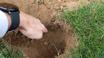 HOW TO SET THE VICTOR BLACK BOX GOPHER/ MOLE TRAP
