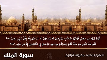 سورة المُلك | المقرئ محمد معروف قرانوح