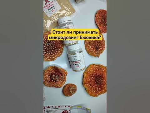 Ежовик гребенчатый «Живой ум», капсул – купить в Москве в интернет-магазине Greelife