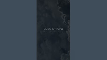 وَلَمَّا رَءَا ٱلۡمُؤۡمِنُونَ ٱلۡأَحۡزَابَ قَالُوا۟ | محمد صديق المنشاوي | سورة الاحزاب