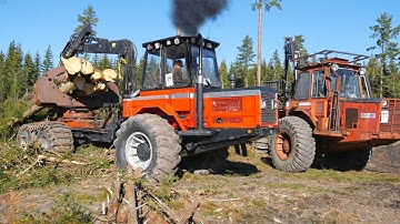 Heavy, Classic & Unique Logging Machines from the 70’s - Still Runs Hard in the Forest!