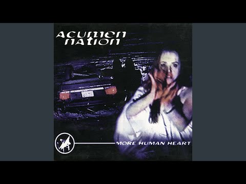 Acumen Nation — Punkass