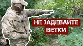 Почему не стоит задевать ветки в зеленке