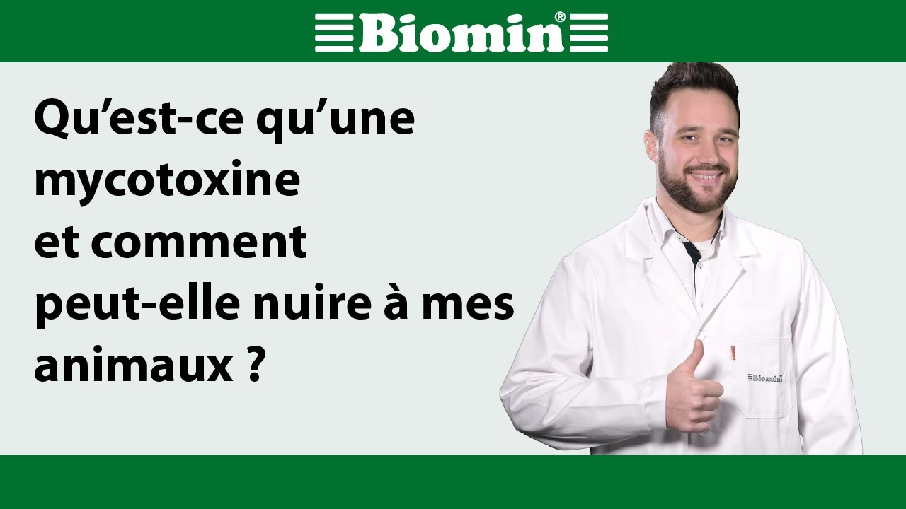 Qu’est-ce qu’une mycotoxine et comment peut-elle nuire à mes animaux ?