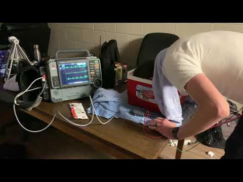 mammalian dive reflex - YouTube