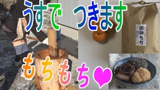 餅つき　正月　臼杵