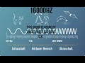 16000 Hz   this sound is heard by those under 30 years old