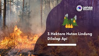 [LIVE] LENSA INDONESIA UPDATE - 3 HEKTARE HUTAN LINDUNG DILALAP API - RTV
