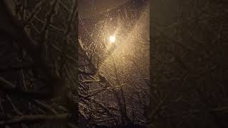 Farid Farjad - Efsehan