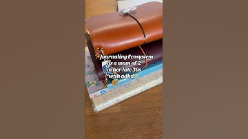 Journaling Ecosystem🥰 #journaling #journalinginspiration #journal #journalcommunity #journalwithme