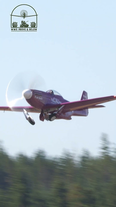 Nine P-51s taking off! #ww2 #wwii #history #aviation #p51 #mastersoftheair #airshow #normandy #dday