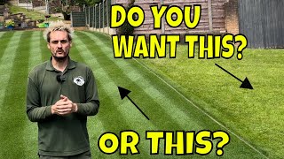 A 4 STEP Lawn Maintenance Plan/ Where you are GOING WRONG with Watering