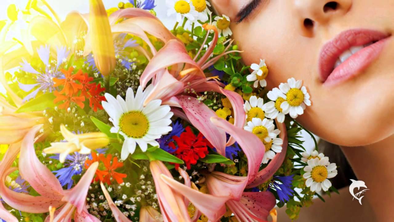 Musikapostel - Nur eine Blume - YouTube