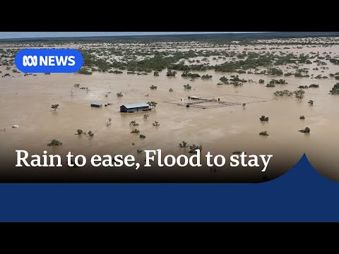 Rainfall to ease in Queensland but floodwaters to linger for days | ABC NEWS Episode cover