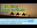 65 Hebreos   Biblia Católica