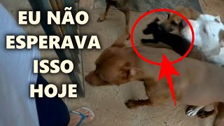 É Quando A Gente Menos Espera Que Acontece