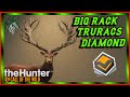 MONSTER DIAMOND TruRACS RED DEER! Big Rack Red Deer! | theHunter Call Of The Wild