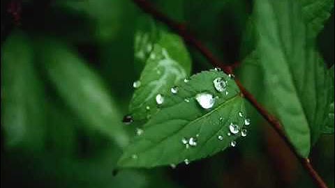 015 سورة الحجر كاملة للقارىء ابراهيم الجبرين    Surat AlHijr