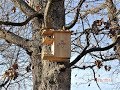 Squirrel House checking in Squirrel House checking in