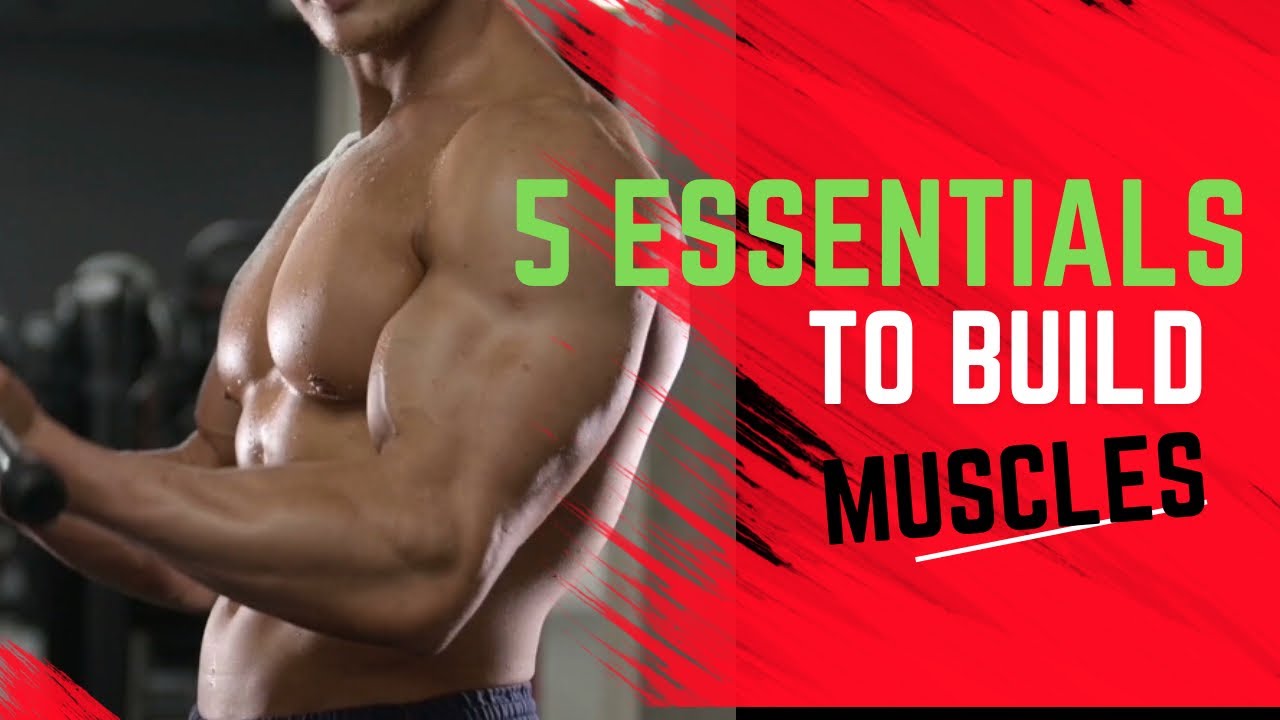 Accessories for bodybuilding: The 5 essentials to build muscle