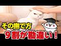 猫が嫌がる撫で方、ほとんどの人が間違ってます