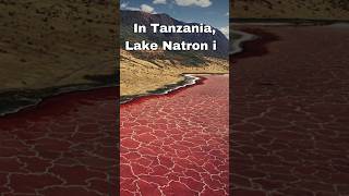 A lake that can turn you into stone #facts #fascinatinginformation #funfacts