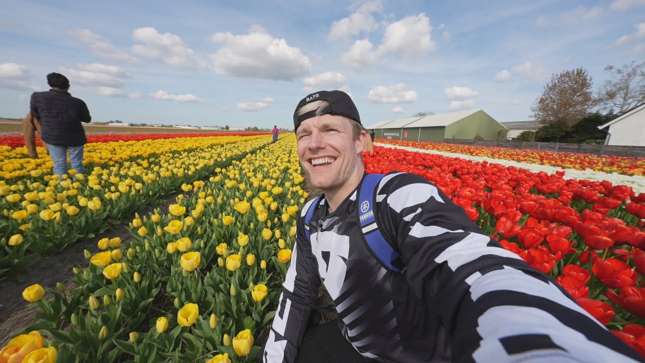 TOERIST UITHANGEN IN EIGEN LAND  3550