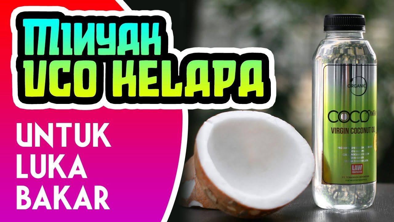 Jual Minyak Vco Kelapa Hijau Murni Murah Untuk Luka Bakar ...