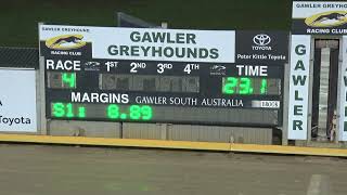 Gawler-19072026-Race-4 Gawler-19072026-Race-4