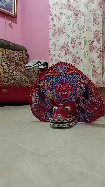 barongan gerak sendiri guys aku padahal cuman sendirian takut aku guys malam malam lagi #barongan