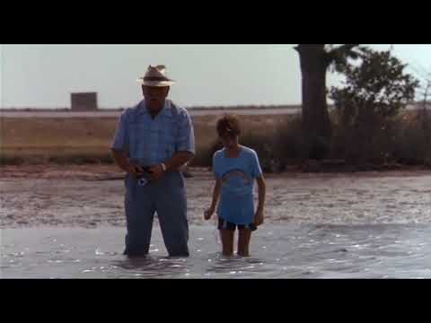 Cocoon - A Great Scene From a Wonderful Movie