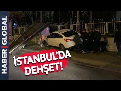 Video: Turska Forshmak