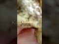 Kisses For Me 