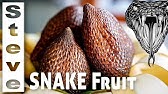 Snake Fruit What Is It How To Eat It Salak Youtube Snake Fruit What Is It How To Eat It Salak Youtube
