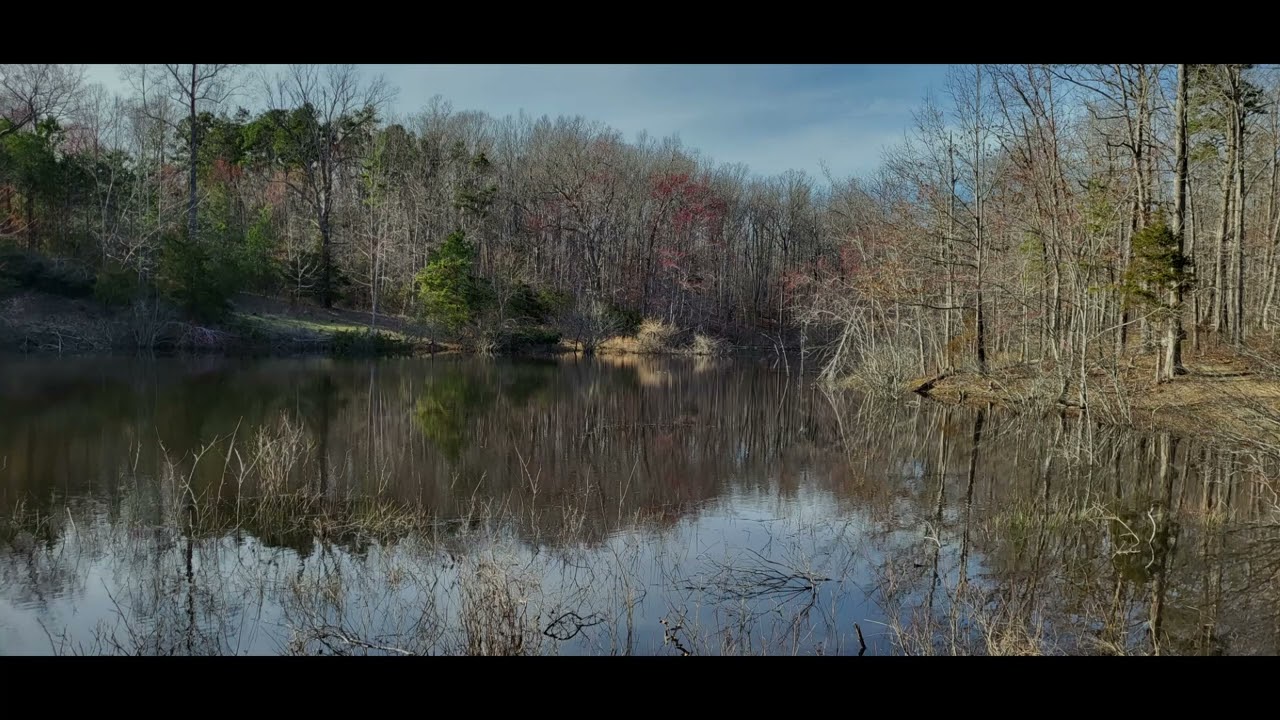 SKAL! - Miracle Of Sound (Slowed Reverb)