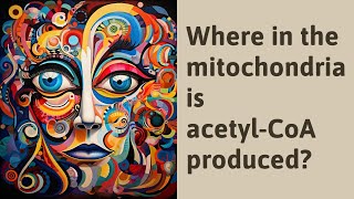 Where in the mitochondria is acetyl-CoA produced?