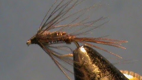 Fly Tying a Pheasant Tail Flymph with Jim Misiura