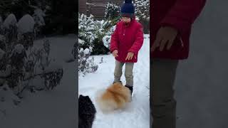 We Buried Her Today