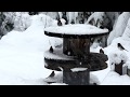 Bird feeder Bird feeder